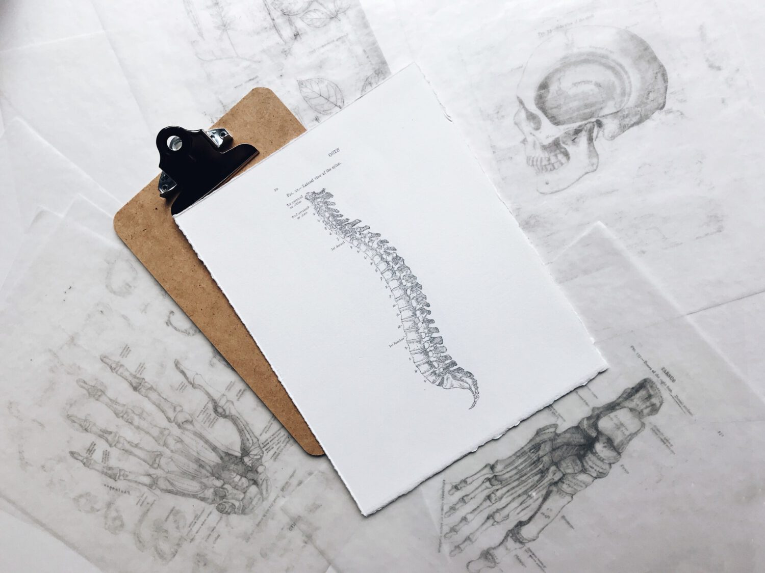 Ortopeda - specjalista anatomii człowieka oraz fizjologii ruchu