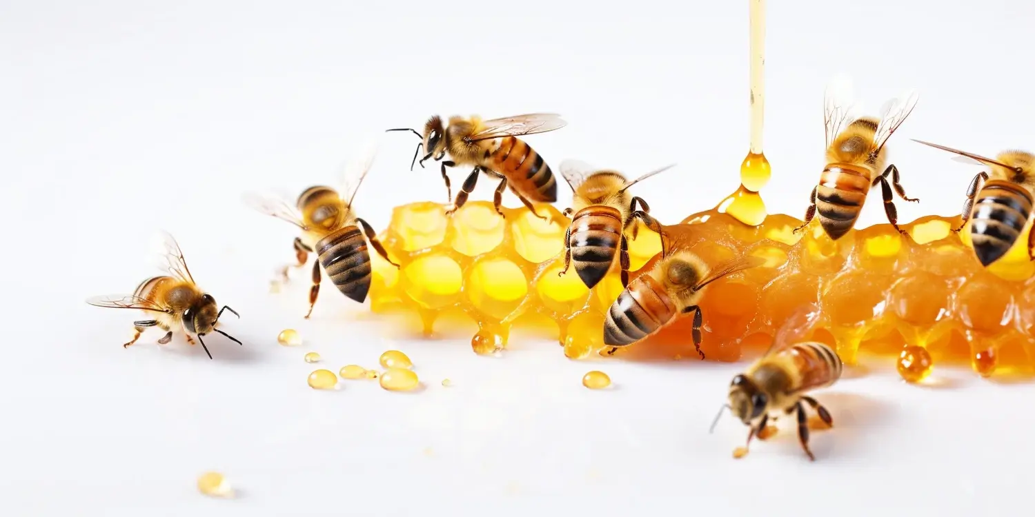 grzegorz-pawluk-najlepsze-matki-pszczele