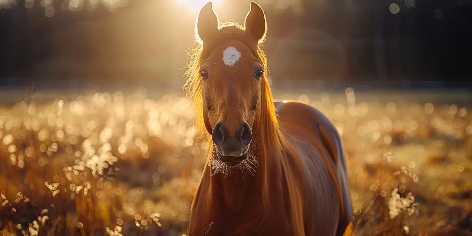 ile-czasu-ukorzenia-sie-trawa-z-rolki-f
