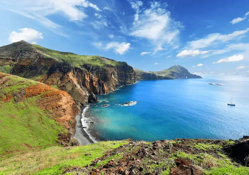 madera-kiedy-kwitna-kwiaty-f-1